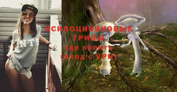 эйфоретик Арсеньев