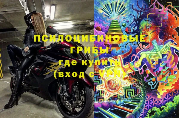 эйфоретик Арсеньев