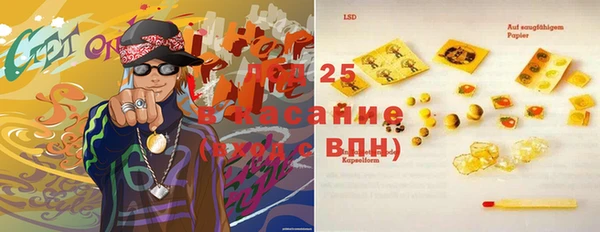 эйфоретик Арсеньев