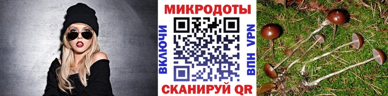 Псилоцибиновые грибы Cubensis  Сим 